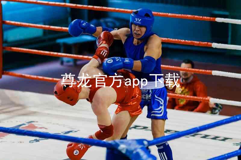 尊龙官方app下载